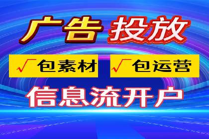 案例对比：SEO与SEM优化效果深度分析