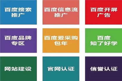 百度竞价推广托管：成功案例背后的故事